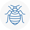 Bed Bug Extermination In Longfield