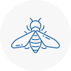 Bee Nest Removal Longfield