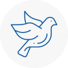 Bird Prevention Longfield