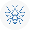 Longfield Hornet Nest Removals
