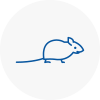 Mice Exterminators In Longfield