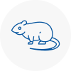 Rat Control Longfield