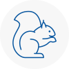 Longfield Rodent Removals