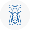 Longfield Wasp Nest Removal